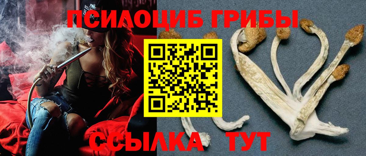 Псилоцибиновые грибы Cubensis  Вход с VPN  Топки 